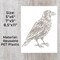Crow Raven Stencil Template - Reusable Gothic Birds Horror Bird Inspirational Graffiti Stencils for Painting on Wood, Glass, Wall, Rock, Walls, Canvas, Glassware, Spray Painting (7 x 9)